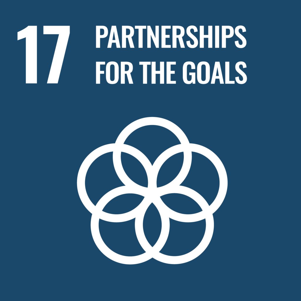 e web goal 17