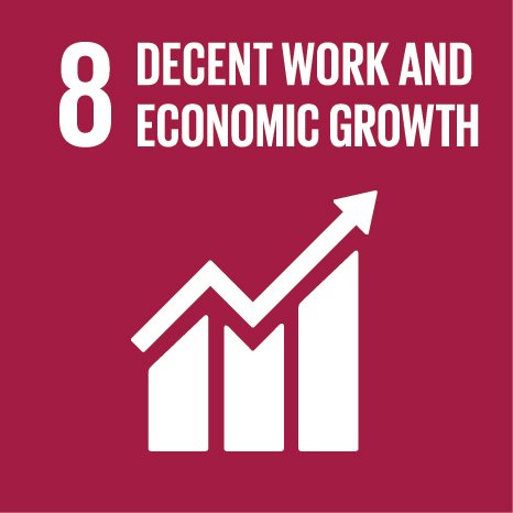 e sdg icons 08