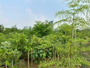 environment 5